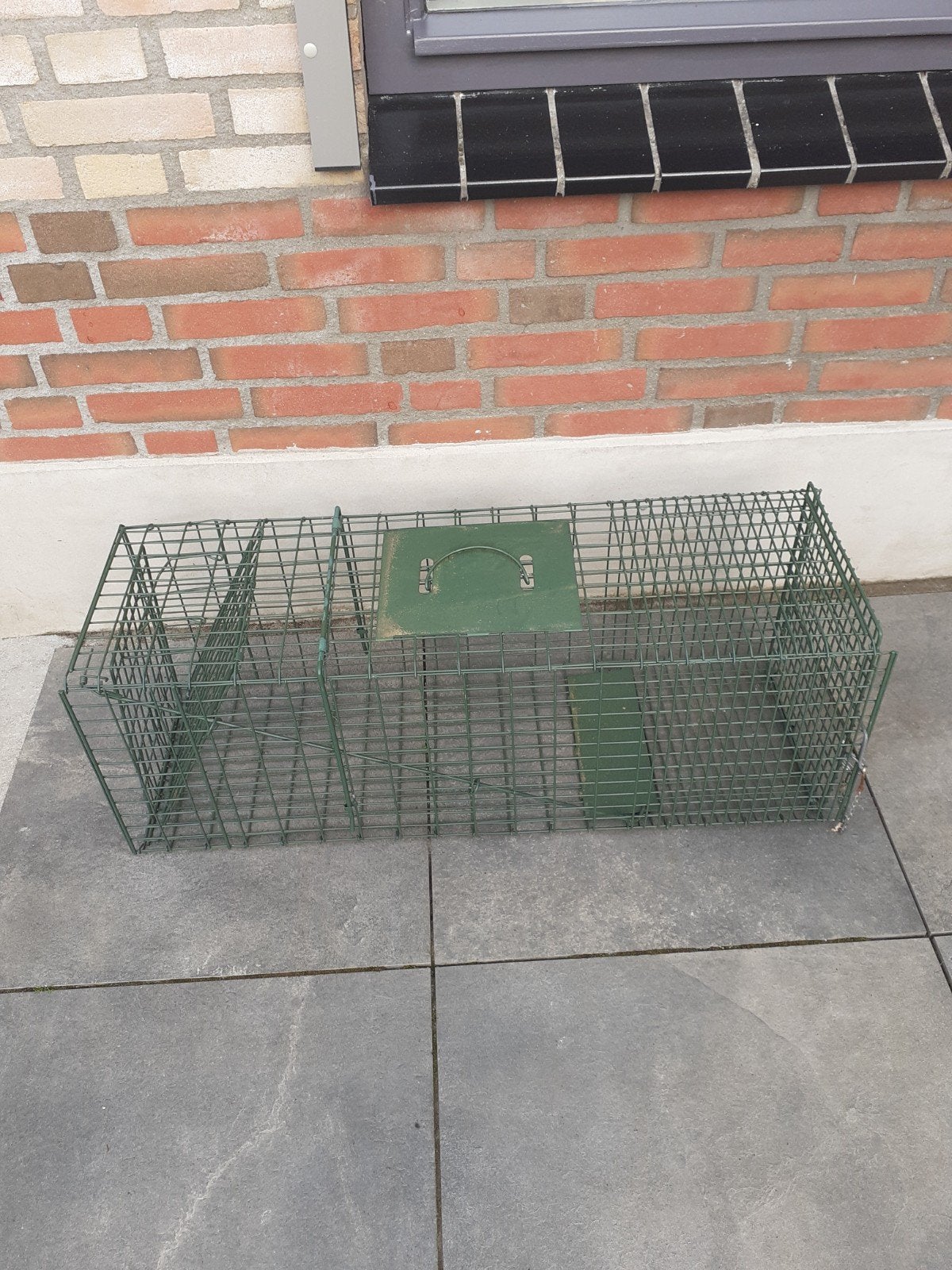 Vangkooi, Minder dan 60 cm, Kooi, Gebruikt, Konijn