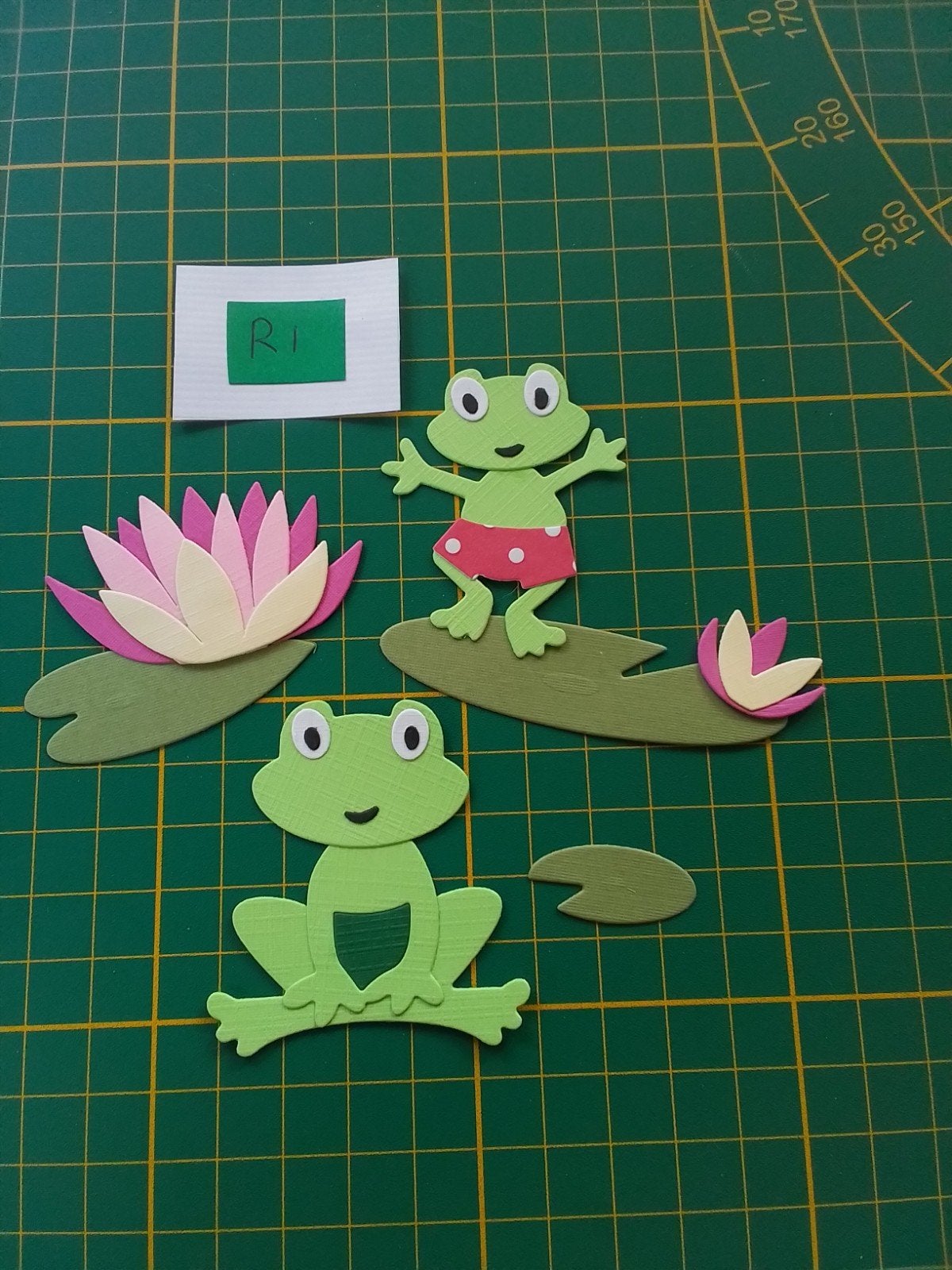 R1 Stansjes 2 licht groene kikkers met roze lelie en blad, Ophalen of Verzenden, Nieuw, Overige thema's, Overige typen