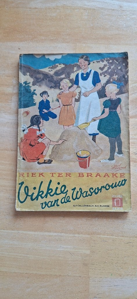 Vikkie van de wasvrouw (Riek ter Braake), Gelezen, Fictie algemeen, Ophalen of Verzenden, Riek ter Braake