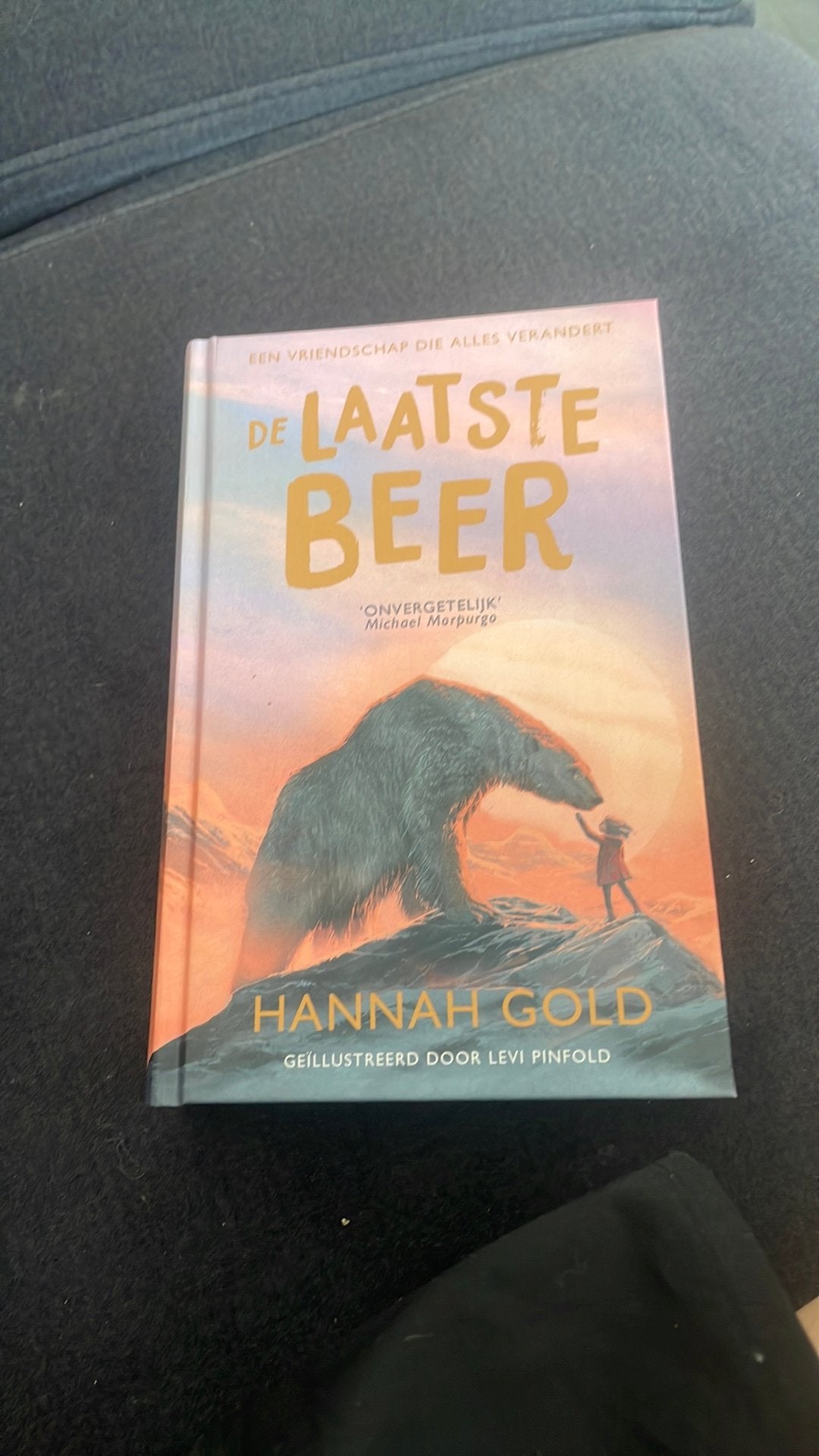 De laatste beer Hannah gold, Ophalen, Zo goed als nieuw