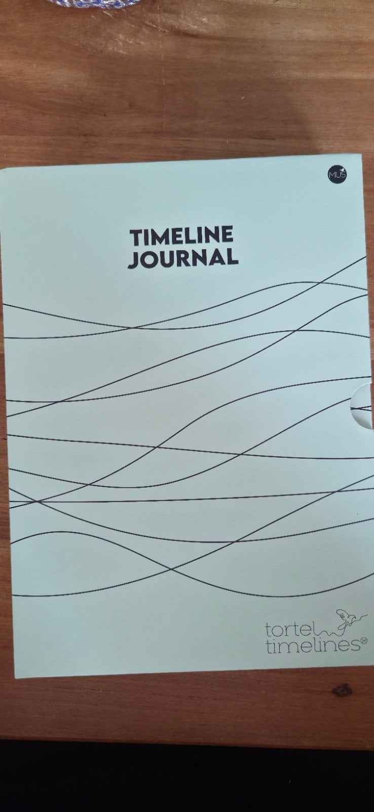 Timeline journal van Tortel timelines, Verzenden, Nieuw, A5