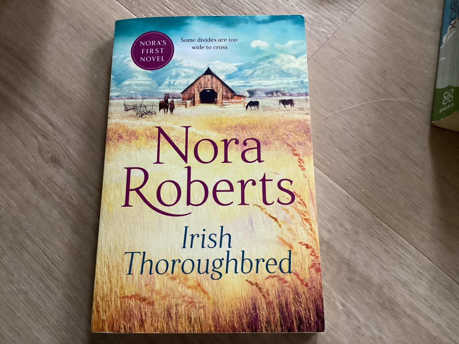 Nora Roberts - Irish Thoroughbred (Engels), Ophalen of Verzenden, Gelezen, Fictie