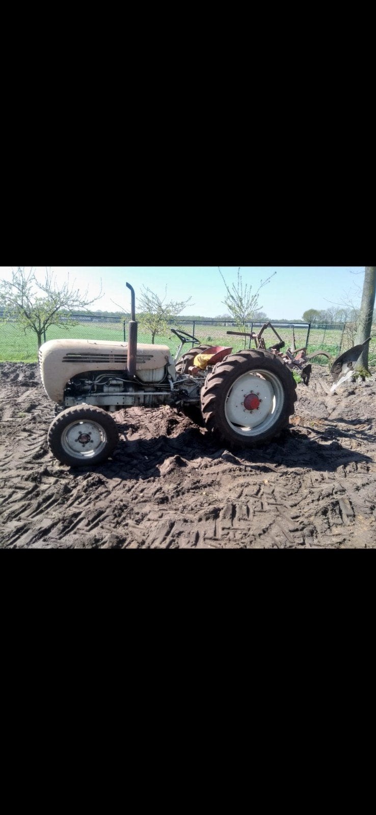 te koop traktor, Ophalen, Tot 2500, Steyr, Oldtimer