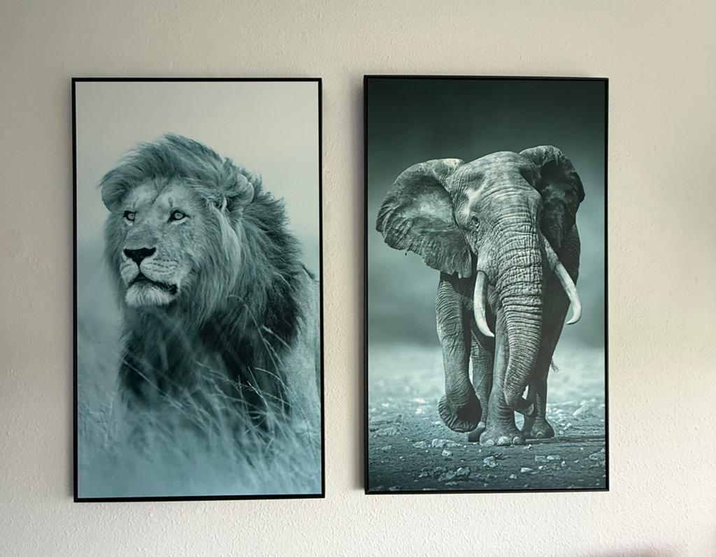 Canvas leeuw en olifant, Ophalen of Verzenden
