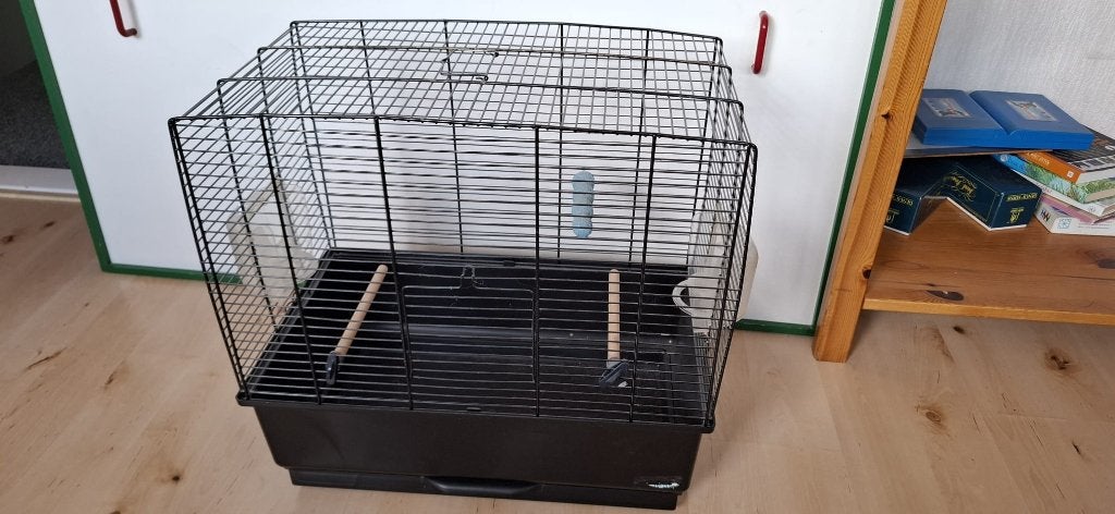 Vogelkooi, Dieren en Toebehoren, Ophalen, Zo goed als nieuw, Metaal, Vogelkooi