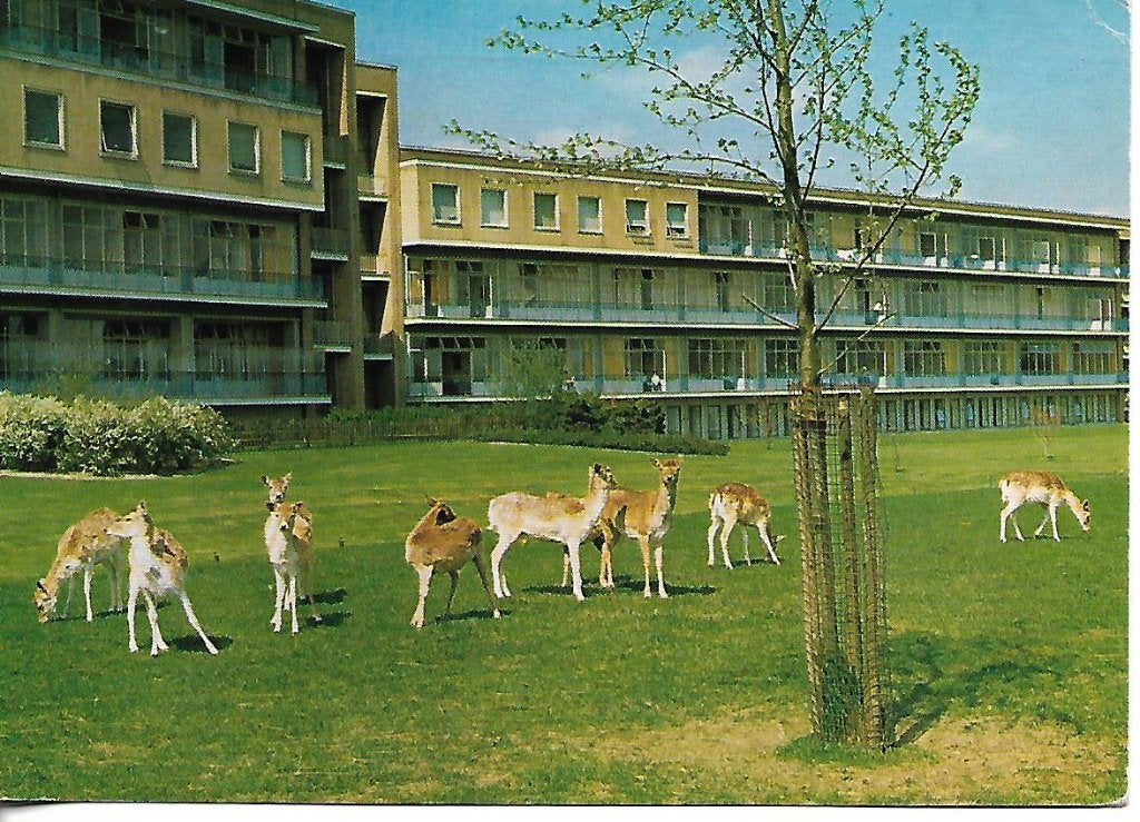 Haren- -Hertenkamp, Beatrixoord., Verzenden, 1960 tot 1980, Gelopen, Groningen