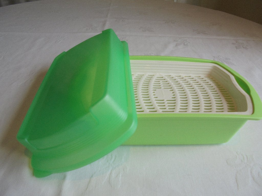 Tupperware Lunchdoos, Ophalen of Verzenden, Zo goed als nieuw, Groen, Bewaardoos