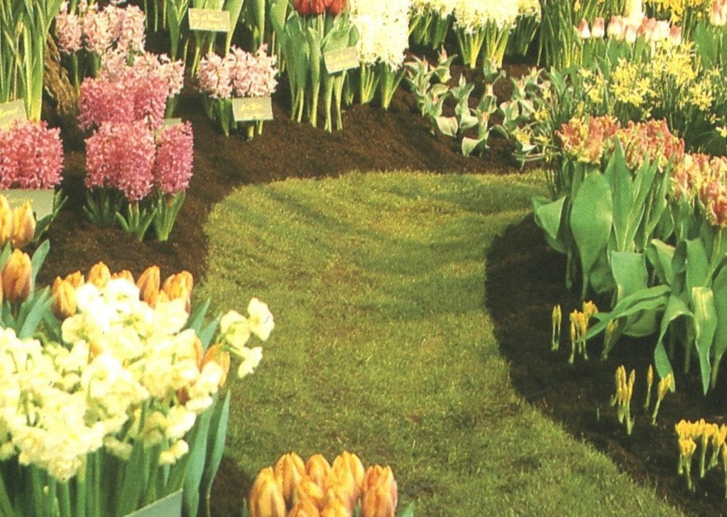 43738 Bovenkarspel Jr 70 NH Westfriese Flora Onbeschreven, Ophalen of Verzenden, 1960 tot 1980, Ongelopen, Noord-Holland