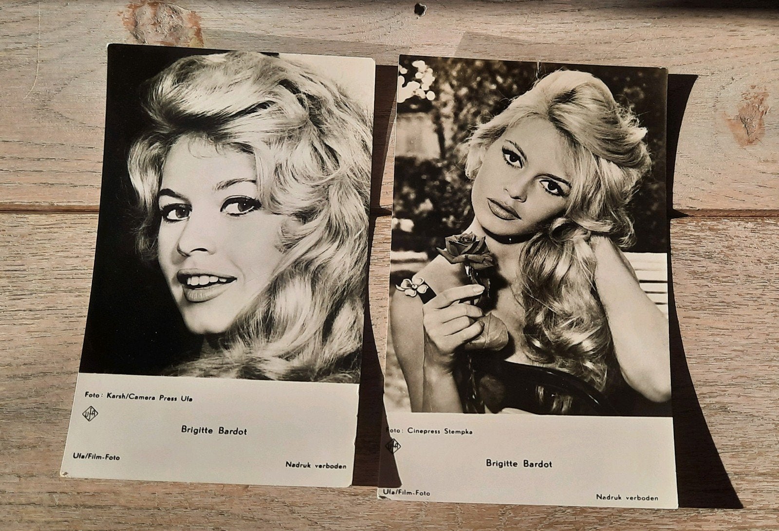 Brigitte Bardot foto's, Ophalen of Verzenden, Gebruikt, Foto of Kaart