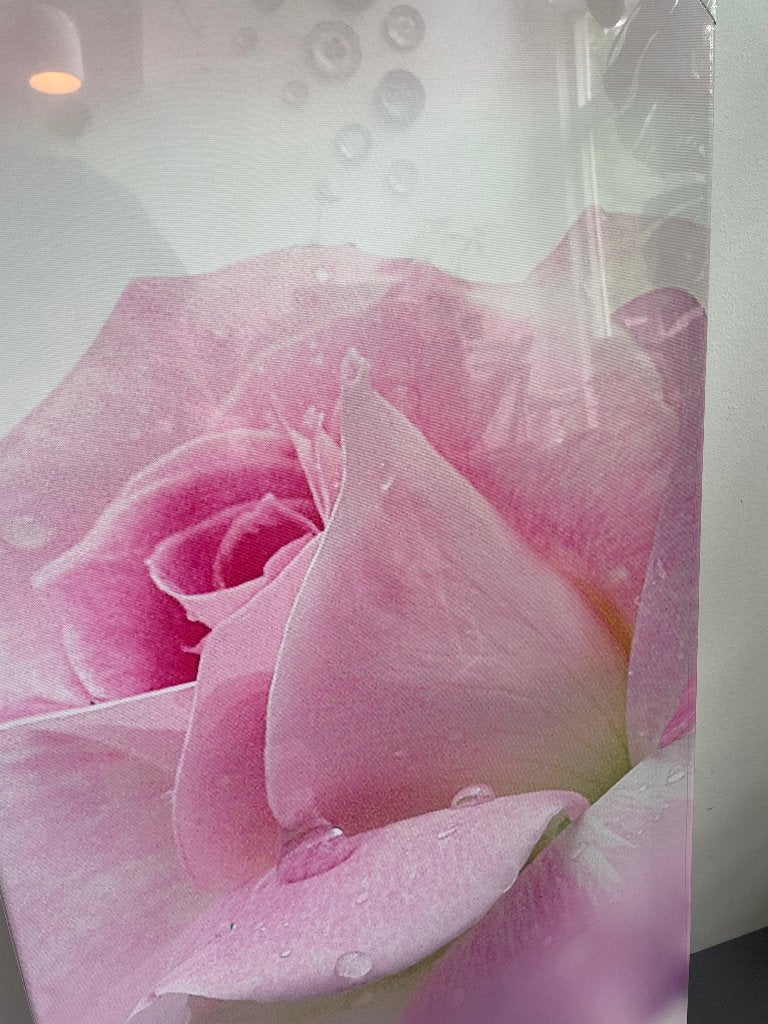 Canvas Schilderij Roze Roos met Druppels – Nieuw in Folie, Huis en Inrichting, Woonaccessoires | Schilderijen, Tekeningen en Foto's
