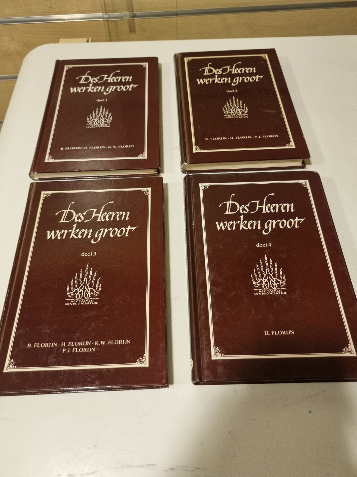 B. en H. en K.W. en P.J. Florijn.Voorvallen v Gods kinderen, Ophalen of Verzenden, Gelezen, Christendom | Protestants