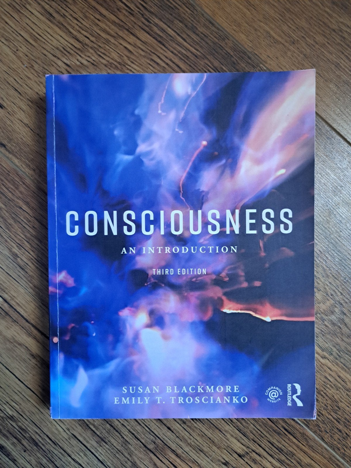 Consciousness: An Introduction - Susan Blackmore, Ophalen of Verzenden, Zo goed als nieuw, Susan Blackmore, Emily T. Troscianko