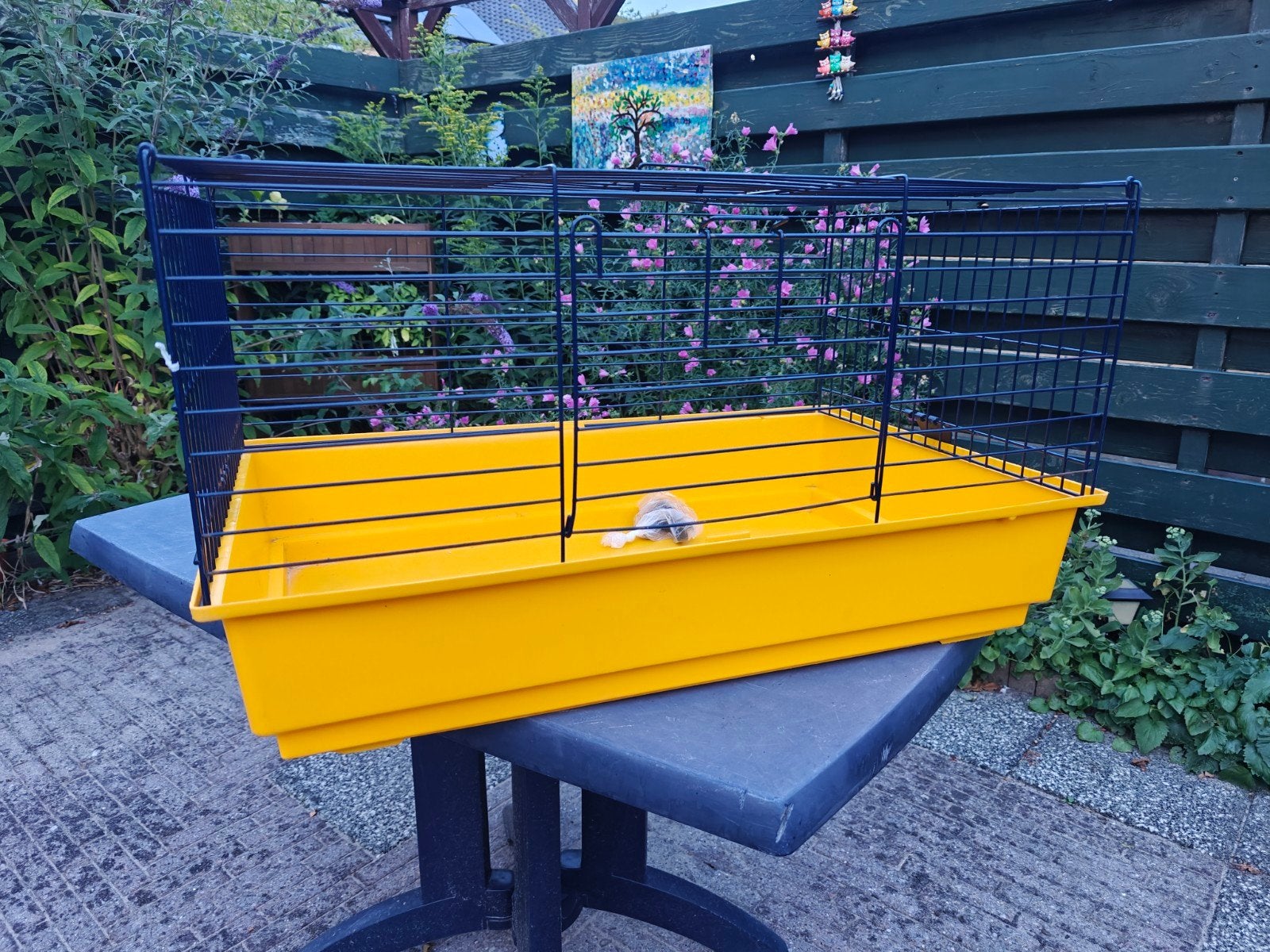 mooie caviakooi 80x50x45 nog als nieuw, Kooi, Zo goed als nieuw, 75 tot 110 cm, Ophalen