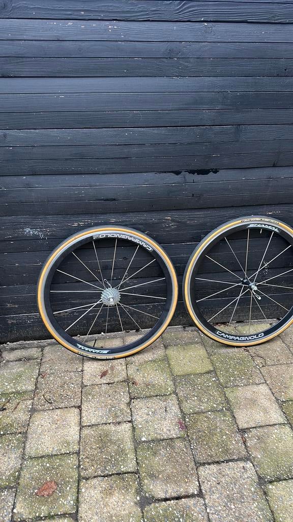Campagnolo shamal, Fietsen en Brommers, Fietsonderdelen, Ophalen, Zo goed als nieuw, Wiel