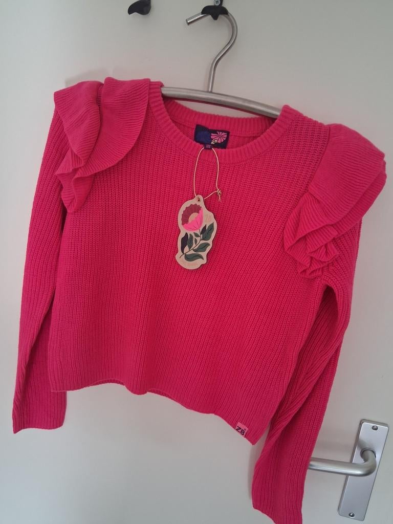 Z8 roze trui maat 140/146, Meisje, Nieuw, Ophalen of Verzenden, Z8