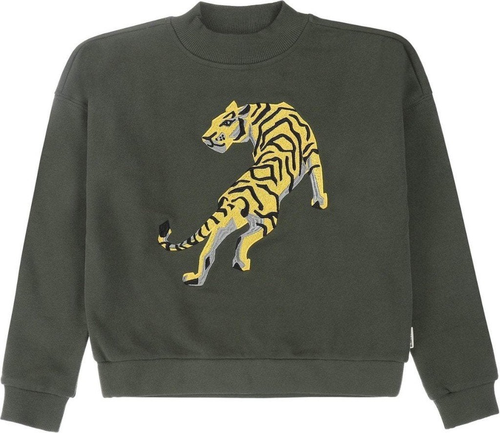 Prachtige TUMBLE 'N DRY sweater Ibby mt 158-164. NIEUW!, Kinderen en Baby's, Kinderkleding | Maat 158, Tumble 'n Dry, Trui of Vest