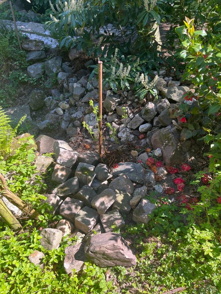 Gratis - Diverse keien voor vijver of tuin, Tuin en Terras, Ophalen, Gebruikt, Grijs, Kei