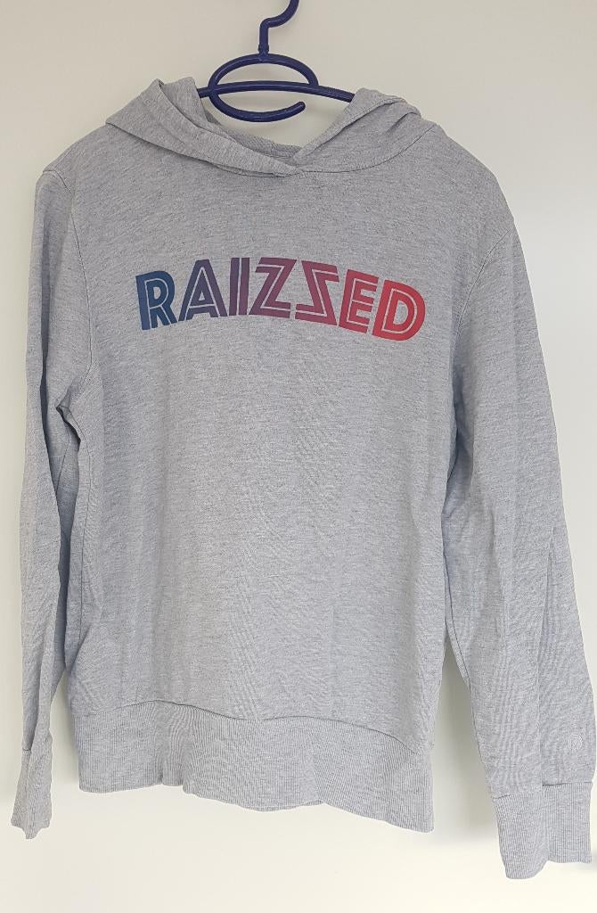 Trui maat 16 / 176 Raizzed, Kinderen en Baby's, Kinderkleding | Maat 176, Gebruikt, Jongen of Meisje, Trui of Vest, Ophalen of Verzenden