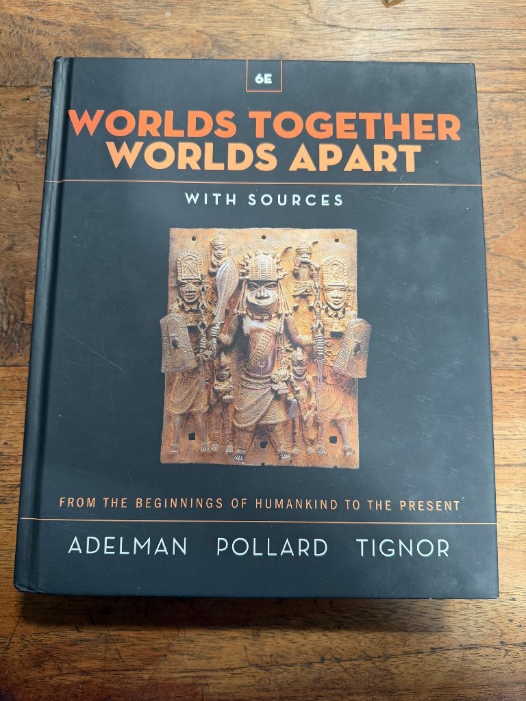 Worlds together, worlds apart, Boeken, Ophalen of Verzenden, Beta, Zo goed als nieuw