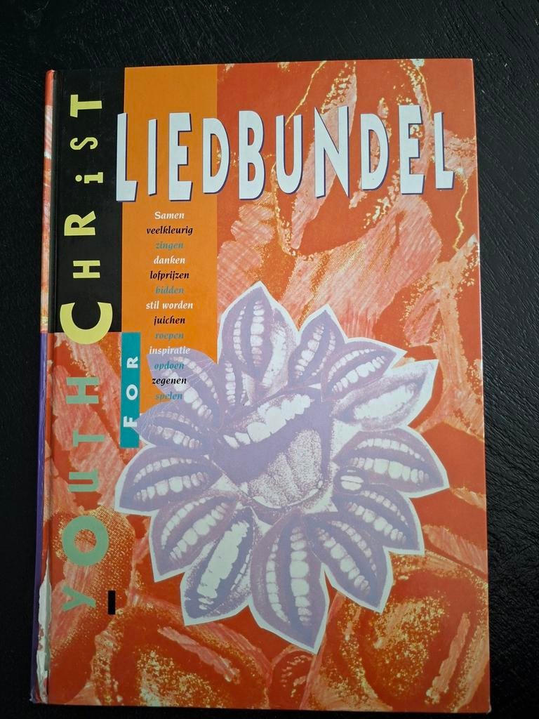 Liedbundel Youth for Christ - Christelijke liederen, Ophalen of Verzenden, Gebruikt, Thema, Religie en Gospel