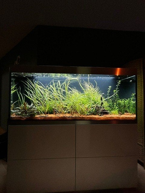 Oase highline optima white 400 liter aquarium– complete set, Dieren en Toebehoren, Vissen | Aquaria en Toebehoren, Ophalen, Oase