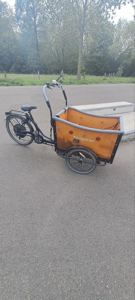 Kangaroo elektrische bakfiets te koop (voor 4 kinderen), Fietsen en Brommers, Fietsen | Bakfietsen, Ophalen of Verzenden, 4 kinderen of meer