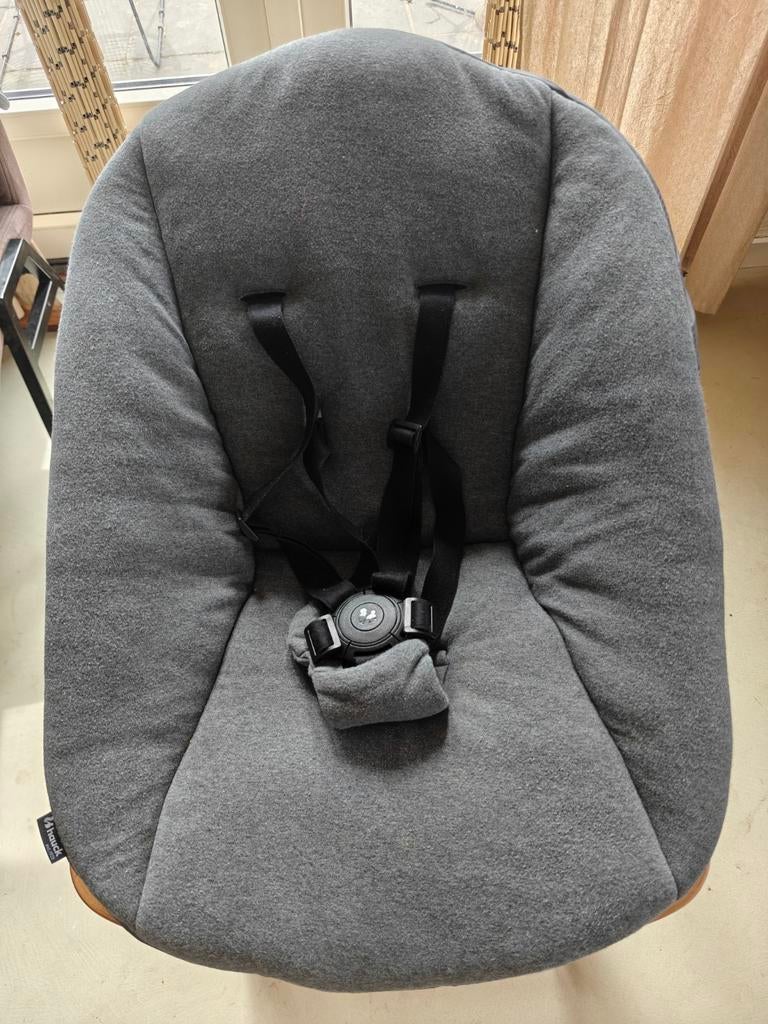 Hauck Alpha Bouncer 2-in-1 wipstoel voor kinderstoel, Ophalen, Overige typen, Gordel(s)