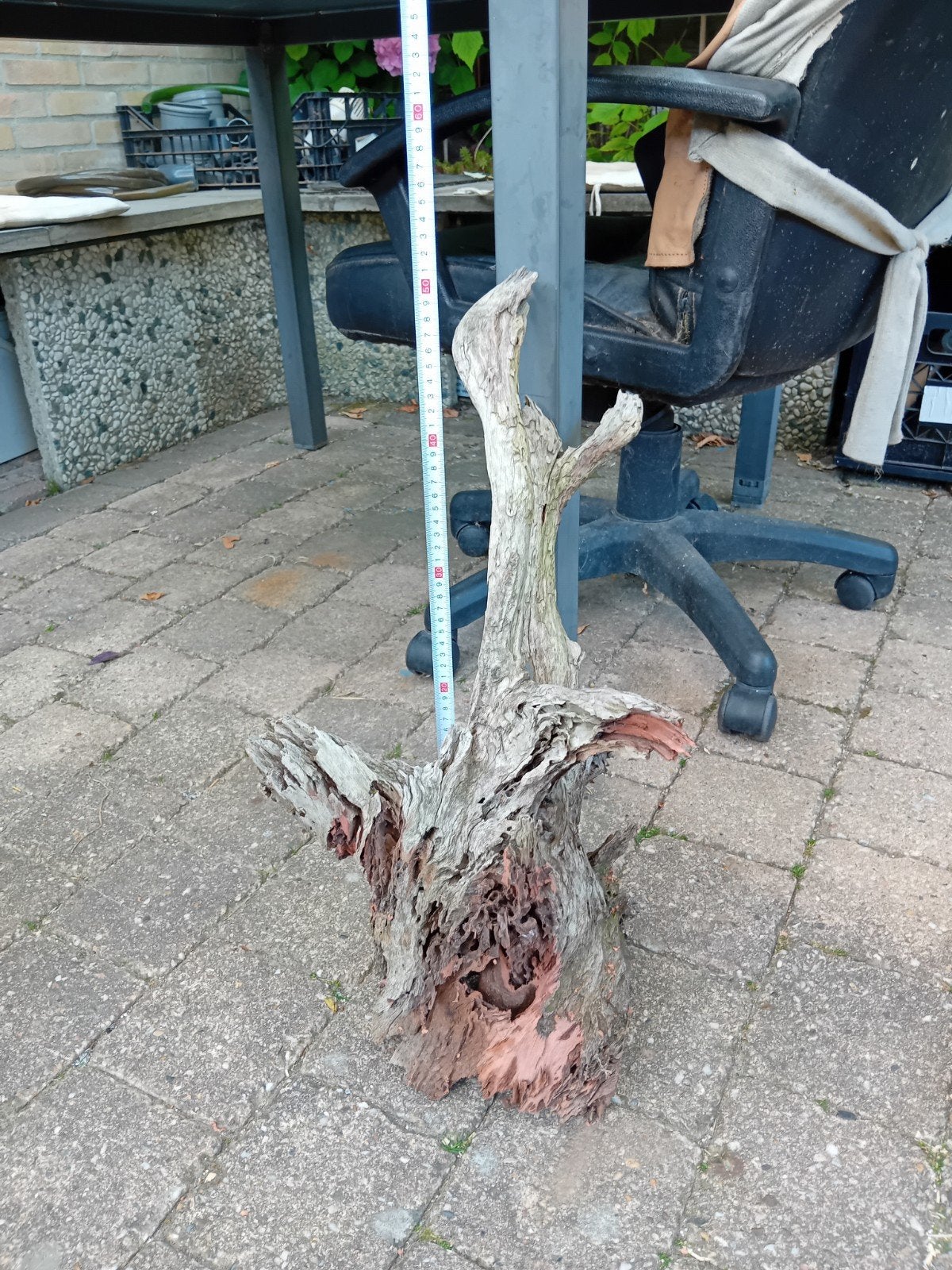 Aquarium stronk alleen ophalen, Ophalen, Plant(en), Steen of Hout
