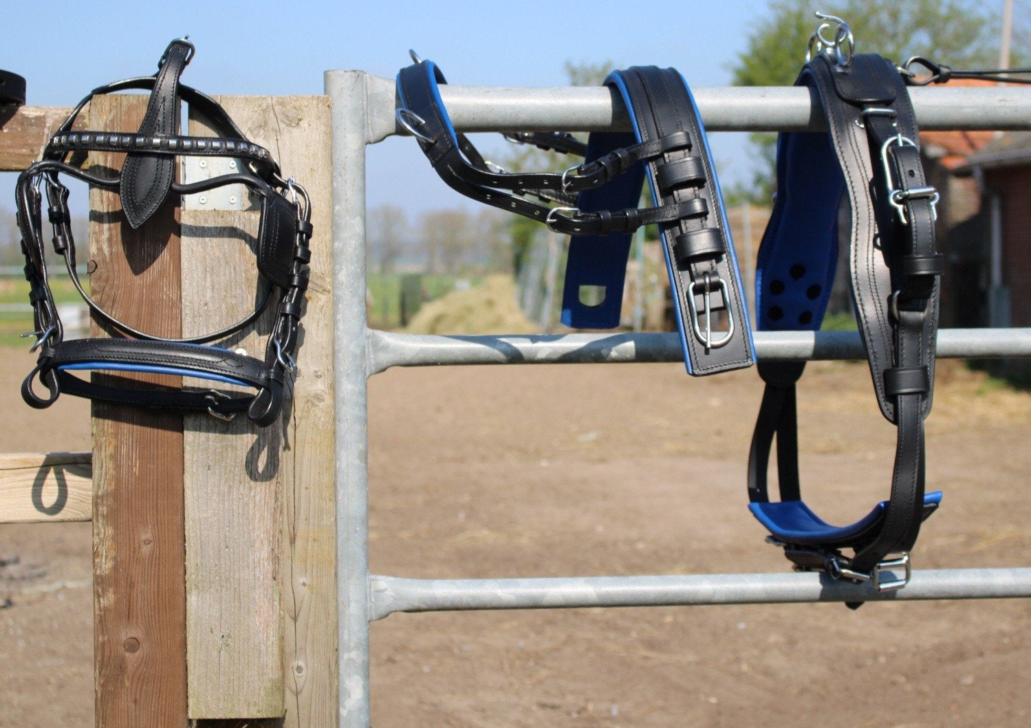 Te koop super gave blauw onderlegd shetlander mentuig nieuw, Dieren en Toebehoren, ., Blauw, ., Bit