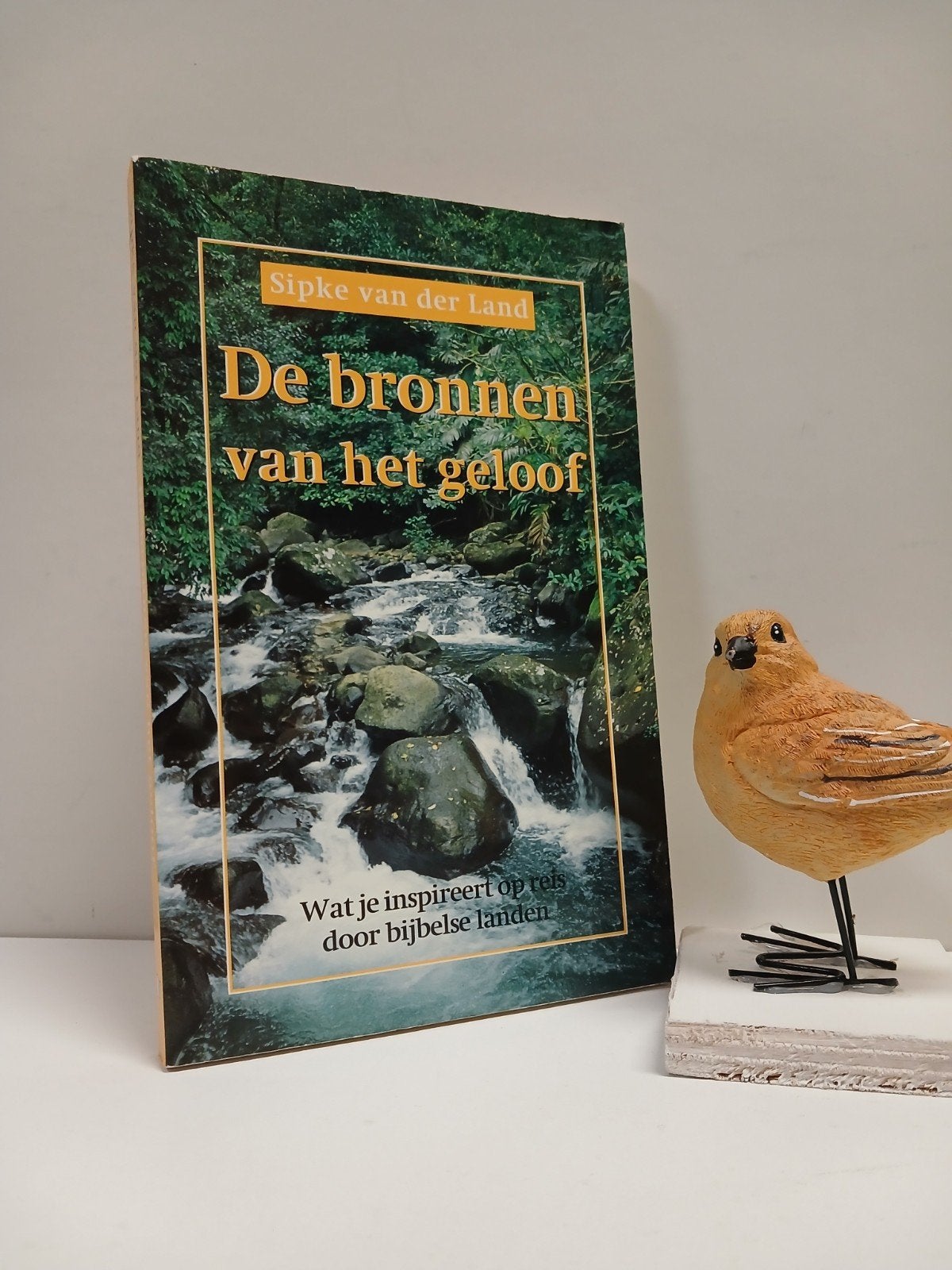 Land, Sipke v.d.; De bronnen van het geloof, Ophalen of Verzenden, Gelezen, Christendom | Protestants