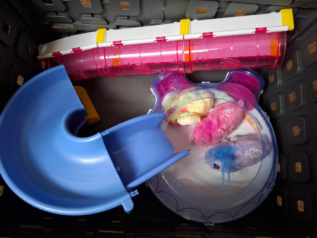 Zhu Zhu pets hamsterbaan, Kinderen en Baby's, Speelgoed | Overig, Ophalen of Verzenden, Gebruikt, Jongen of Meisje