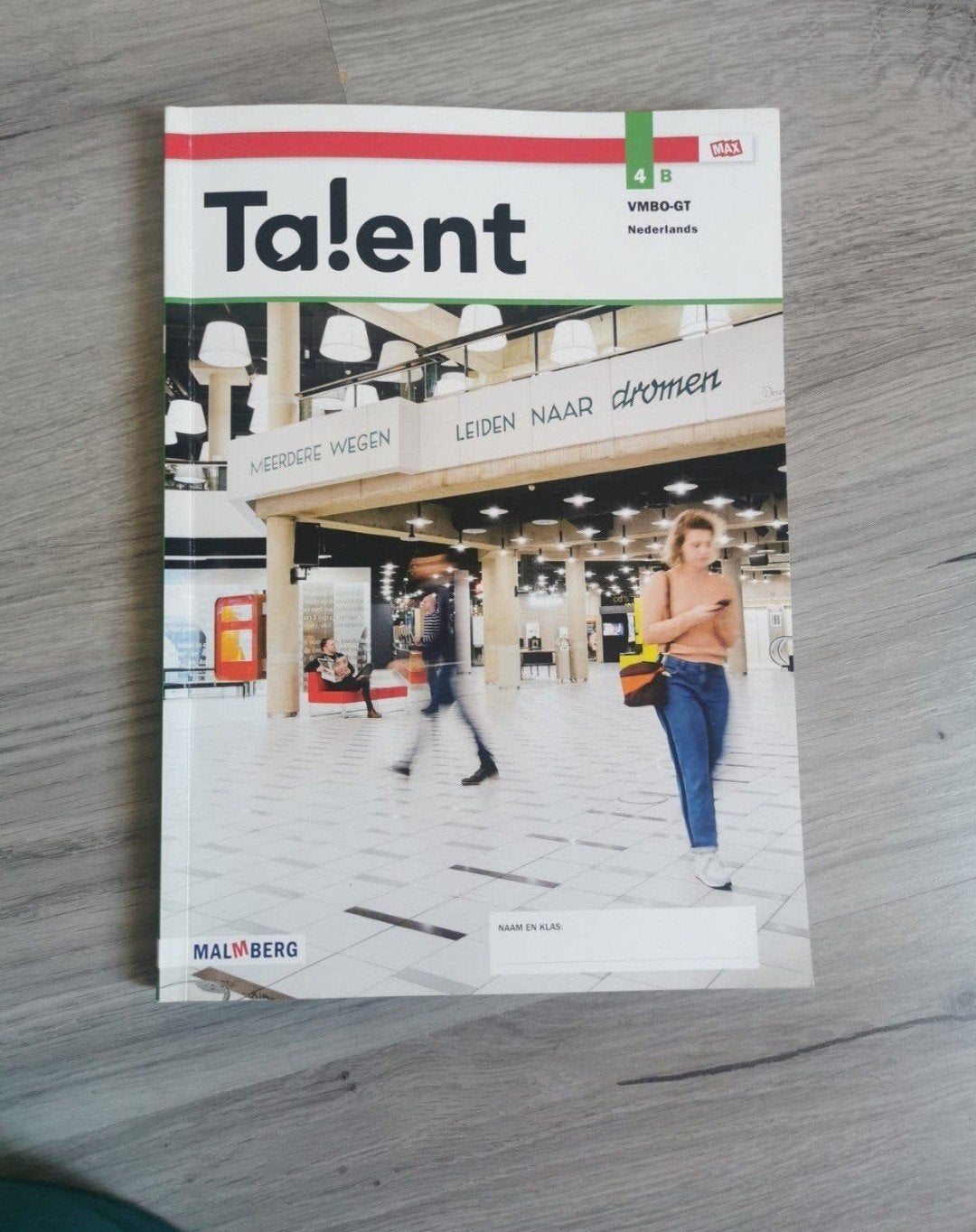 GLOEDNIEUW Ta!lent 4B VMBO-GT Nederlands Malmberg, Boeken, VMBO, Malmberg, Ophalen of Verzenden, Zo goed als nieuw