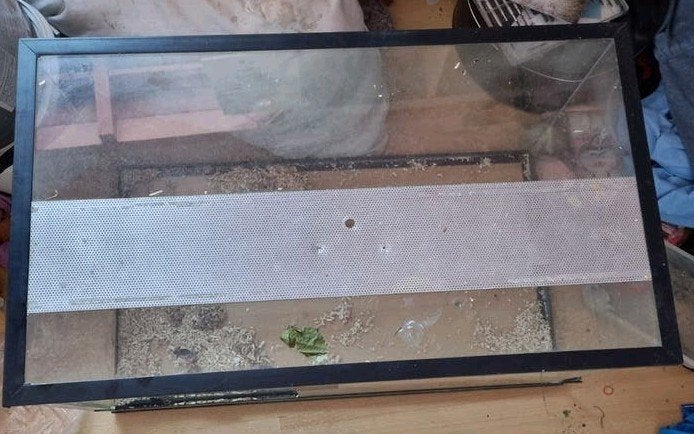 terrarium opknappertje, Dieren en Toebehoren, Ophalen, Gebruikt, Terrarium of Paludarium
