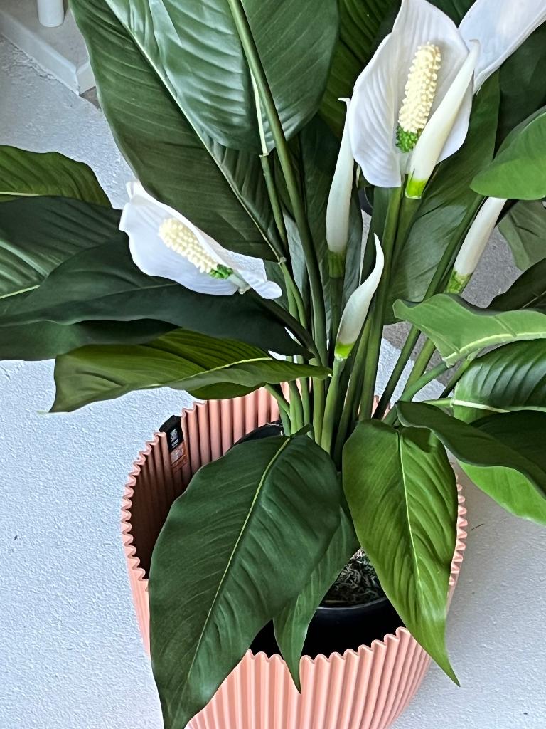 kunstplant, Ophalen, Nieuw, Kunstplant, Groen