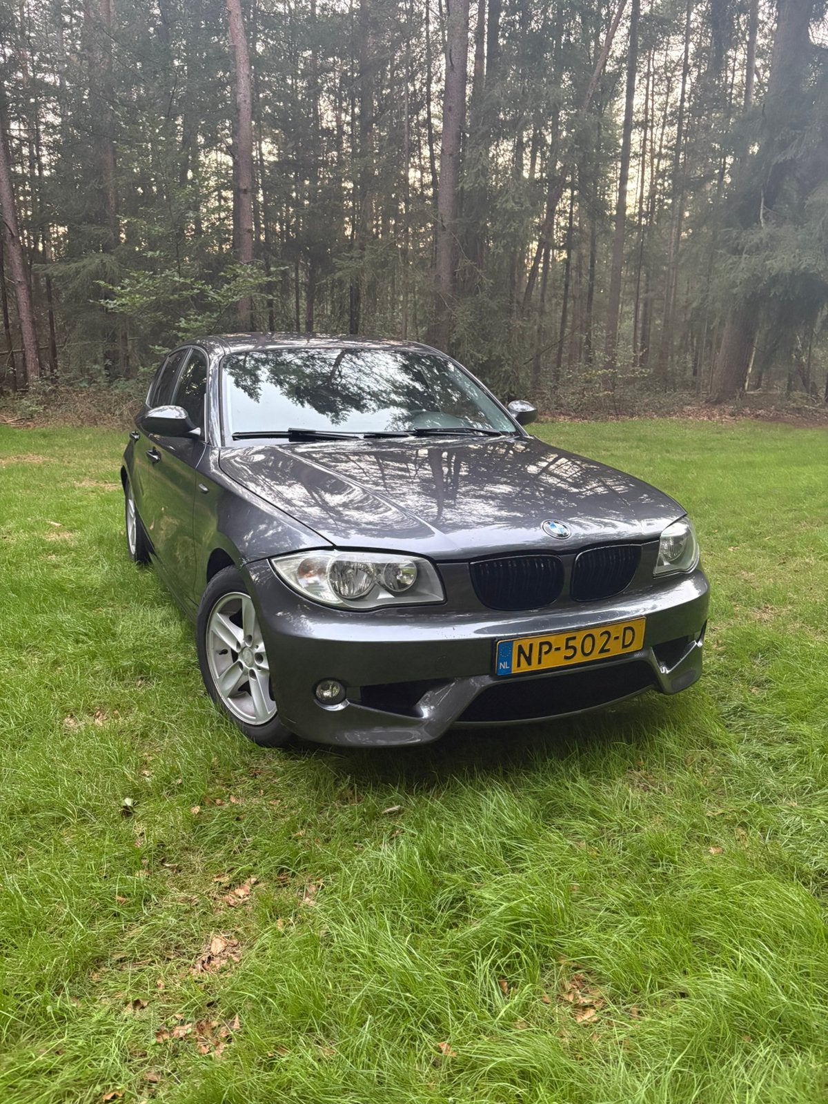 BMW 116i 2005 Grijs, 1596 cc, 635 kg, 1200 kg, 1180 kg
