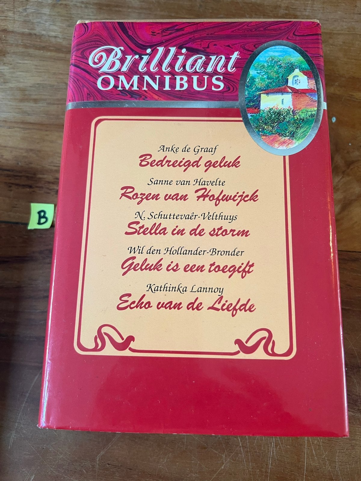 Brilliant Omnibus - 5 romans van bekende auteurs, Boeken, Ophalen of Verzenden, Gelezen, Nederland
