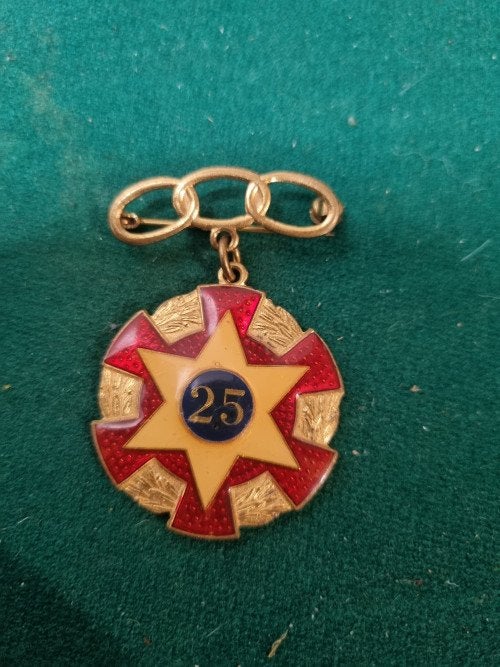 medaille odd fellows 1954, Ophalen of Verzenden