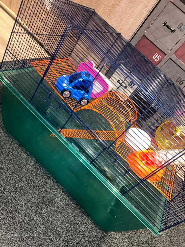 Hamster kooi / klein knaagdier hok, Dieren en Toebehoren, Knaagdieren en Konijnen | Hokken en Kooien, Ophalen