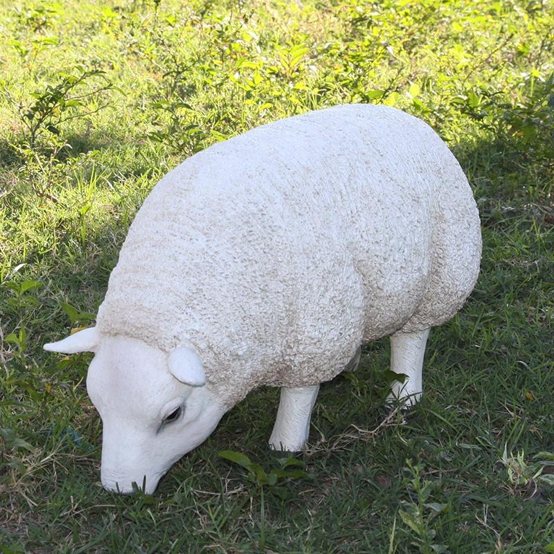 Texelaar – Head Down – Small – Schaap