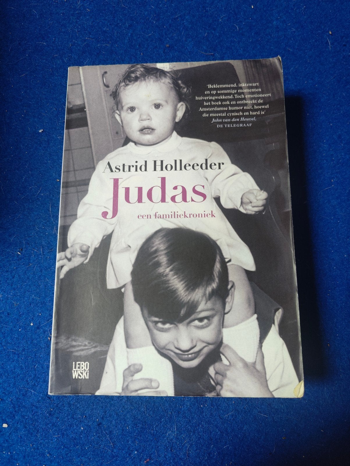 Judas - Astrid Holleeder (Familiekroniek), Ophalen of Verzenden, Gelezen, Astrid Holleeder, Overige