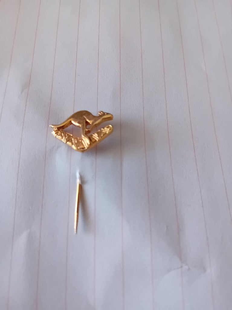 Pin - Kangeroe, Ophalen of Verzenden, Zo goed als nieuw, Dier of Natuur, Speldje of Pin
