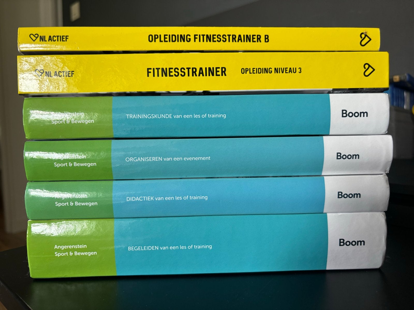 MBO Sport en Bewegen boeken (Angerenstein & NL Actief), Ophalen, Beta, Zo goed als nieuw, MBO