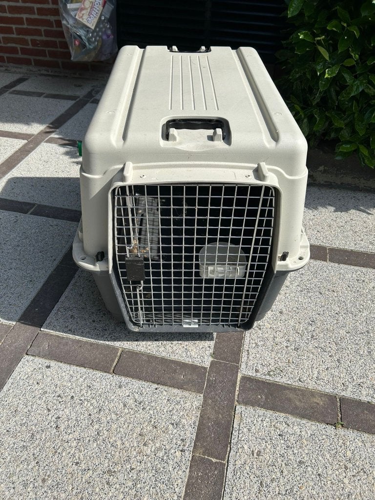 Transport Box hond, Ophalen, Zo goed als nieuw
