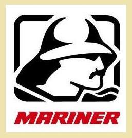 821932-1 Ring-Thrust Washer voor 6 tm 15 pk Mariner&Mercury, Ophalen of Verzenden, Nieuw, Motor en Techniek