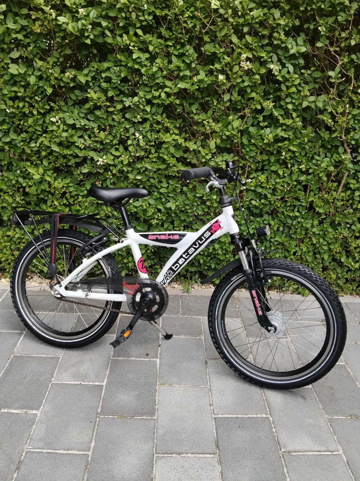 Batavus Snake 20 inch inc. uitgebreide Servicebeurt 🔧✅, Fietsen en Brommers, Ophalen, Terugtraprem, Batavus, 20 inch