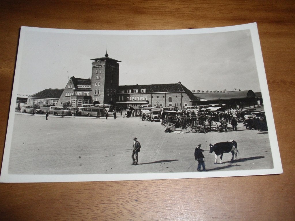 's Hertogenbosch Veemarkt Den Bosch man Koe Veemarkthallen, Verzenden, 1920 tot 1940, Ongelopen, Noord-Brabant
