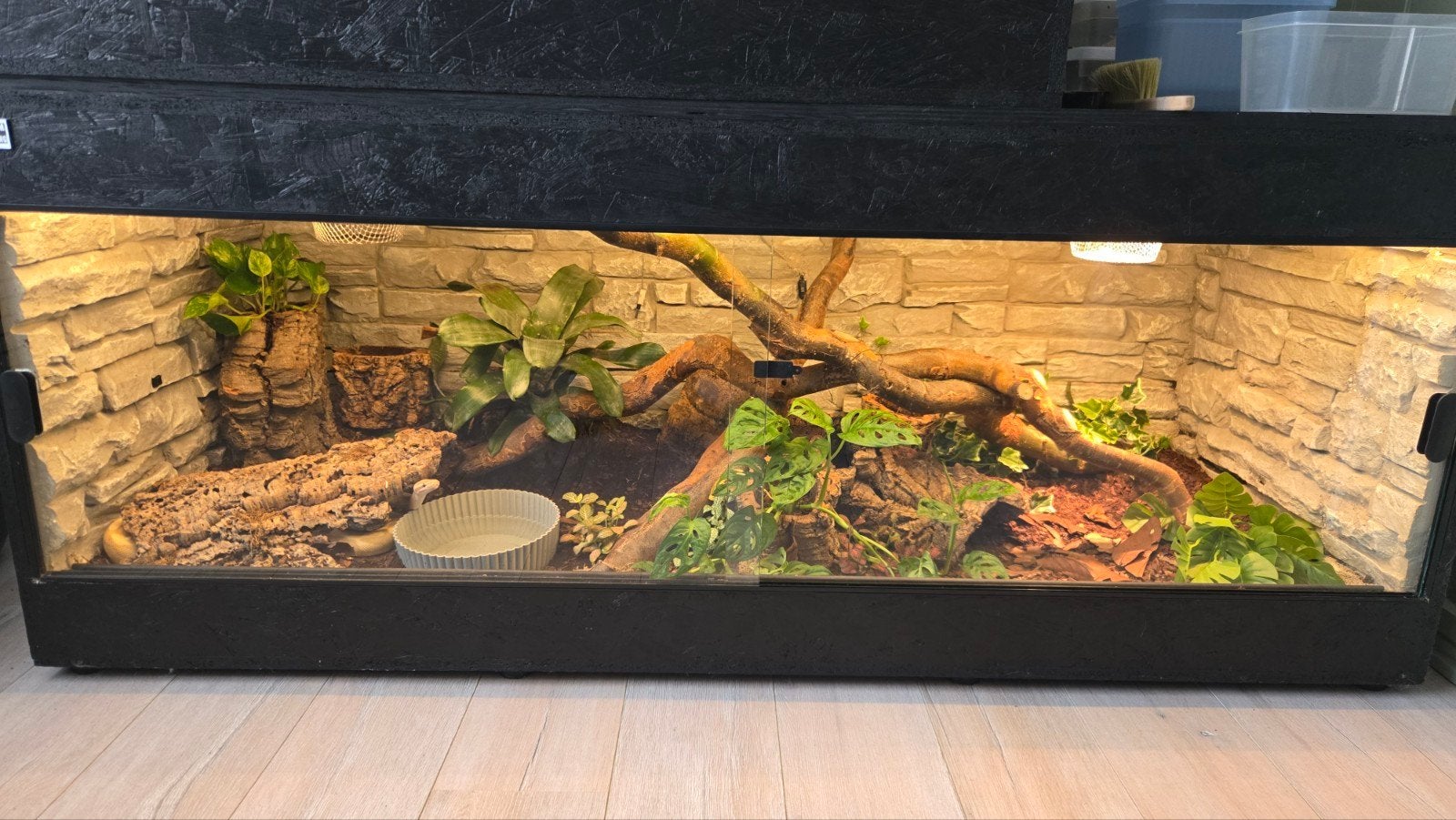 OSB terrarium, Dieren en Toebehoren, Reptielen en Amfibieën | Toebehoren, Ophalen, Zo goed als nieuw, Terrarium of Paludarium