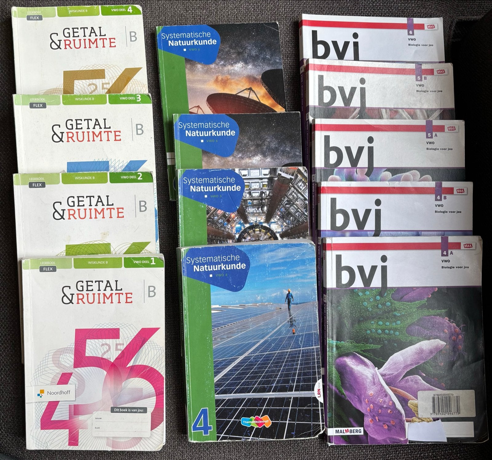 VWO Boekenpakket: Natuurkunde, Biologie, Boeken, Ophalen of Verzenden, Gelezen, VWO, Wiskunde B