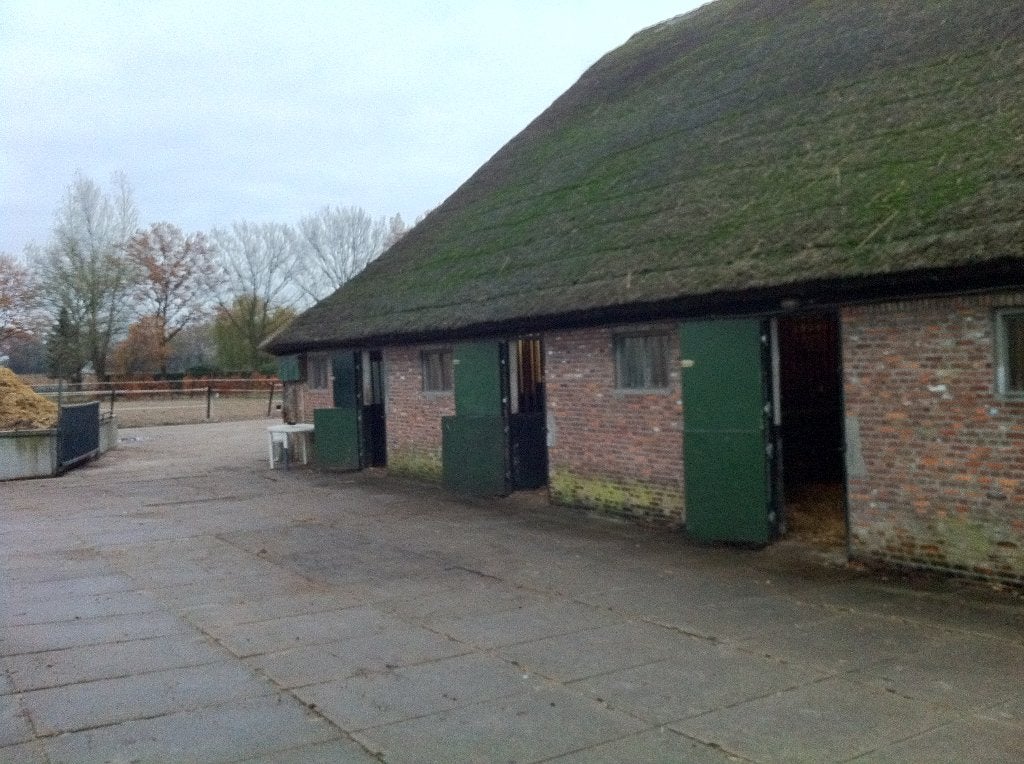 paarden box vrij, Dieren en Toebehoren, Stalling en Weidegang, Weidegang, 1 paard of pony