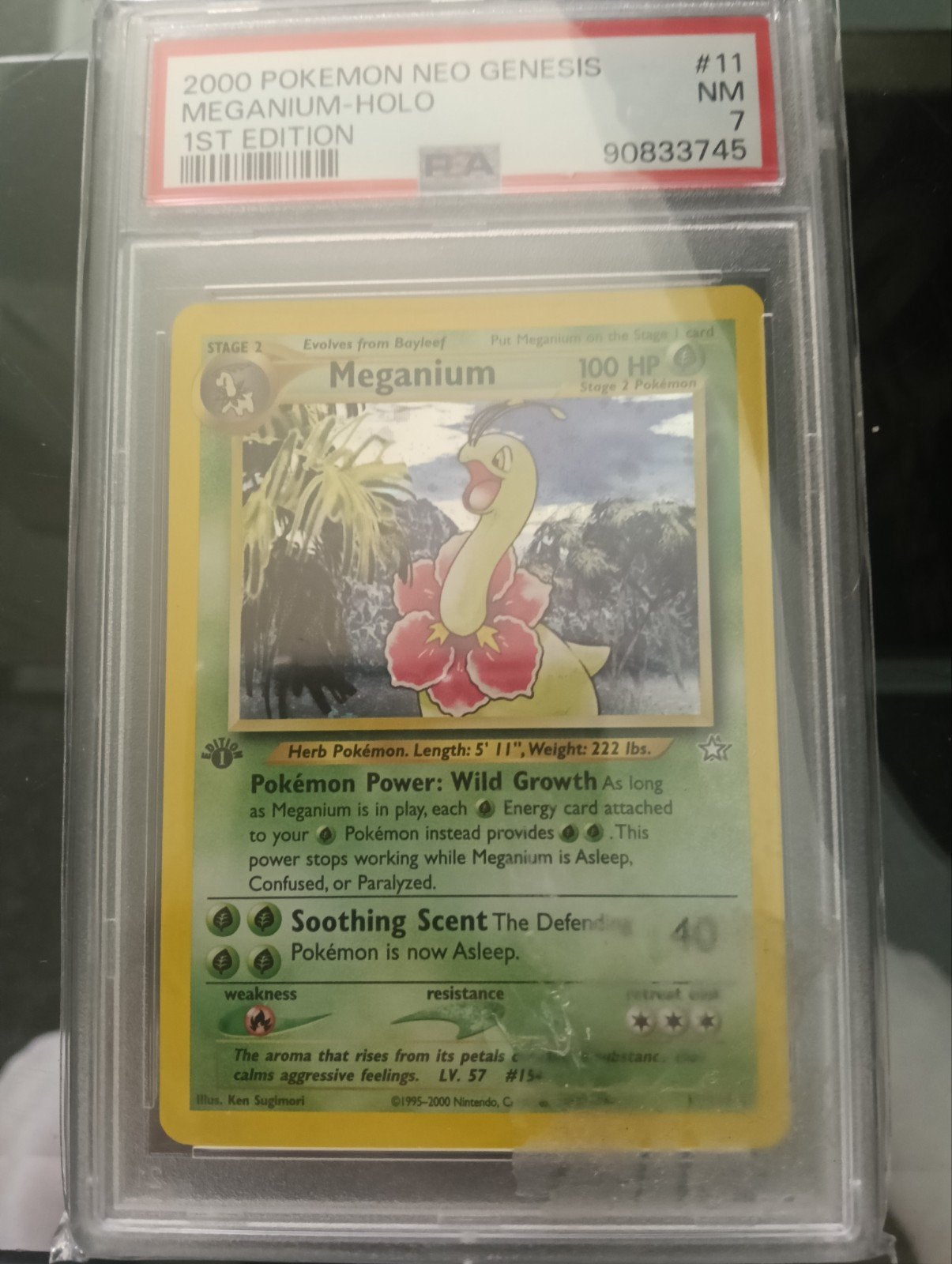 Pokémon - 2000 Neo Genesis Meganium - Holo 1st edition (Bio), Ophalen, Zo goed als nieuw